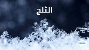 مكيف صحراوي الكوثر 1 حصان كرتون